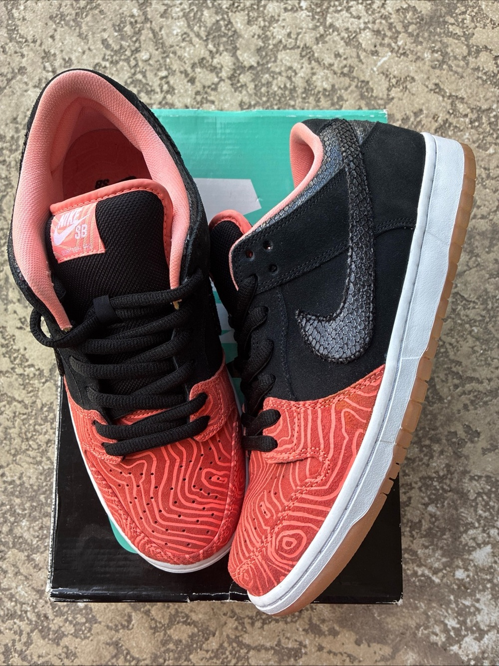 Nike SB Dunk Low Fish Ladder. Men’s size 10. Used in excellent condition!